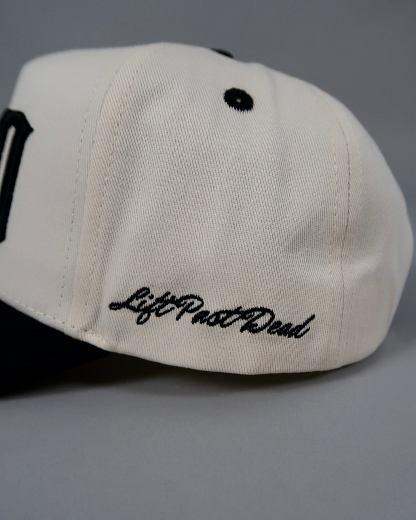 LPD Snap Back Hat